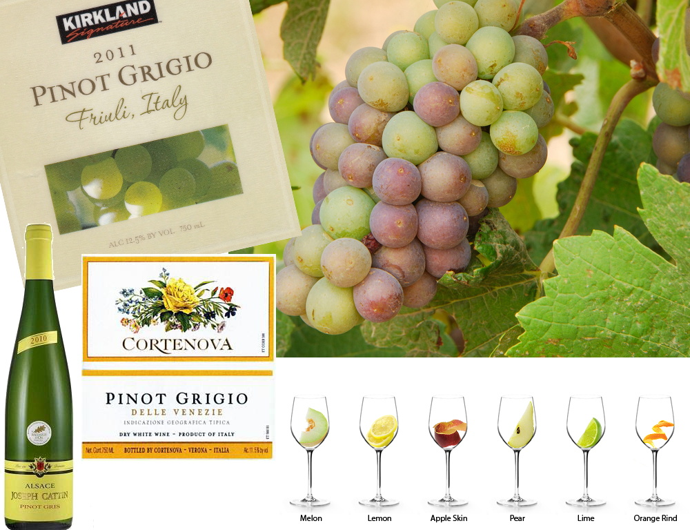 Pinot Grigio ou Pinot Gris… Uma excelente escolha para o verão!