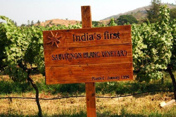 Os vinhos indianos