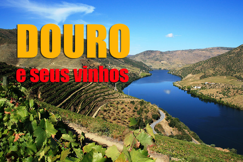O Vinho do Douro e seus encantos…