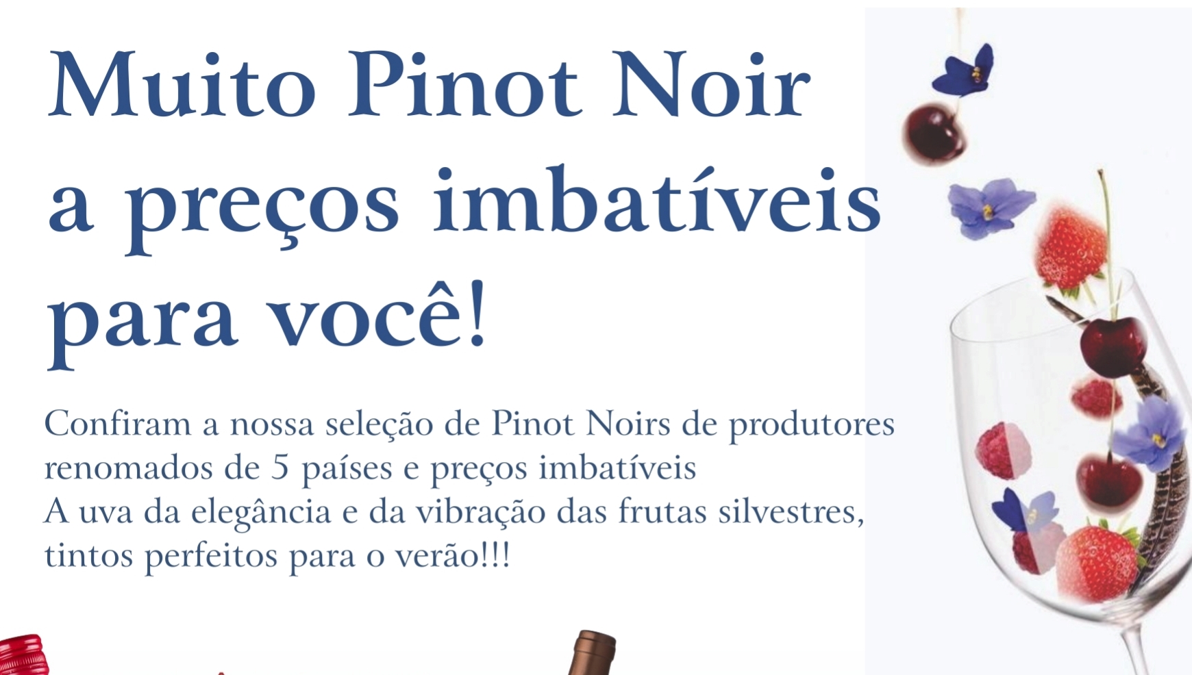 Pinot Noir é a dica para o Final de Semana!