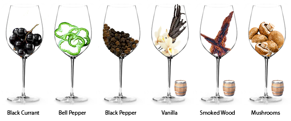 Degustação: Análise Olfativa do Vinho