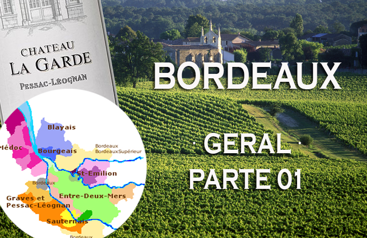 Bordeaux e seus vinhos + Vídeo